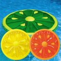 International Leisure Products International Leisure Prod 9054 Swimline 60 In. Fruit Slice Fun Island 9054SL